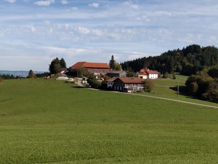 Schmidsreute 2_450 b...
